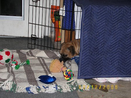 This is what you see when you first walk up to their crate