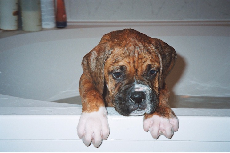 This looked a lot more fun when it was Barkley's turn...