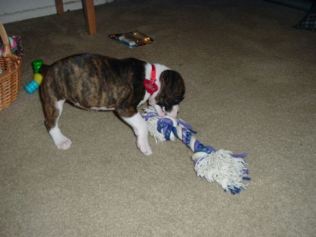 This rope is bigger than she is!