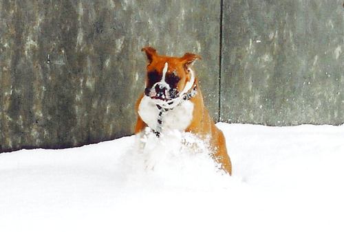 this white stuff is fun!