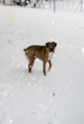 This white stuff makes my feet cold!