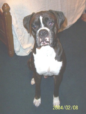 Thor