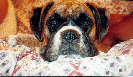 Those dreamy eyes...