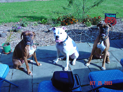 Three amigos (well two amigos and one amigA)