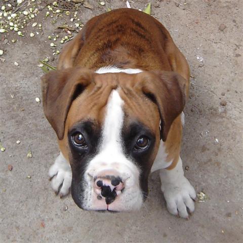 Throw me the ball, please.