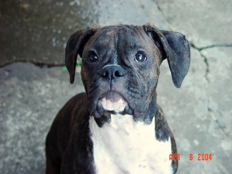 "Throw the ball already..."