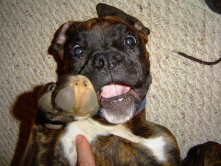 tickle me Mimi
