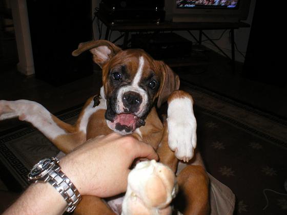 Tickle