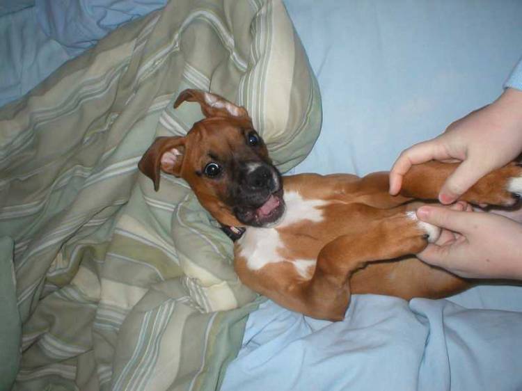 Ticklish