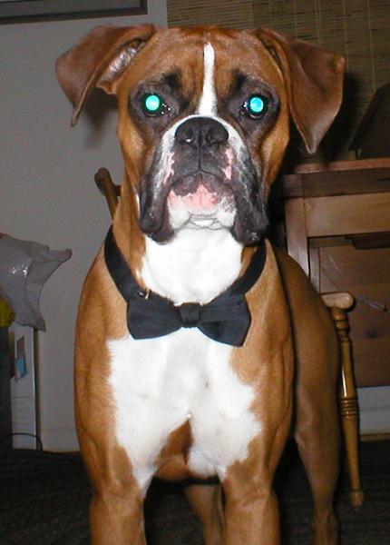 tie