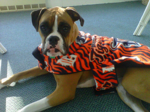 Tiger fan Presley