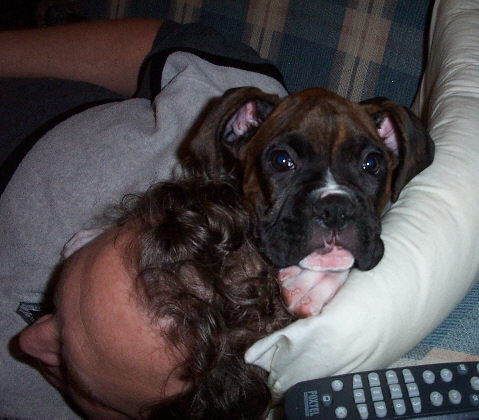 tigger cuddling with daddy