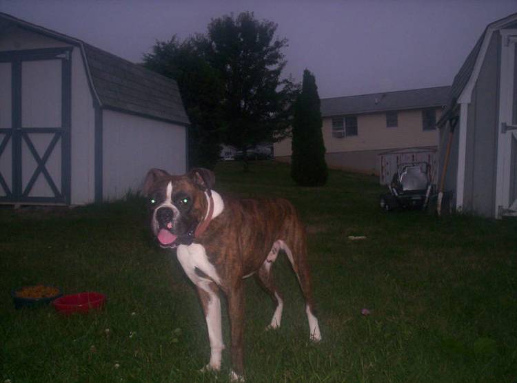 Tigger, the first night home!!