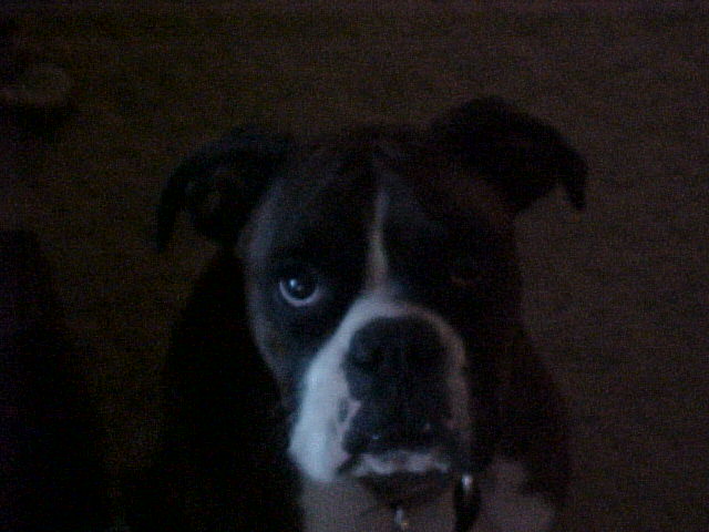 Tigger