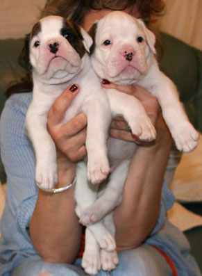 Tilly&Bobby