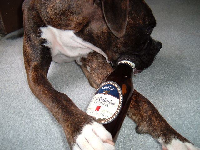 "Time for a cold one"