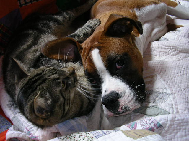 time for a nap