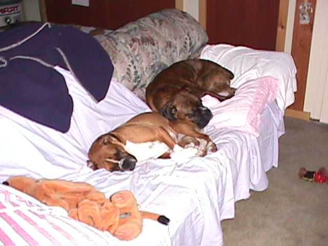 Time for a snooze