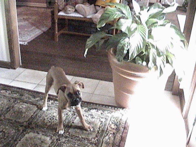 Time to go OUTSIDE !