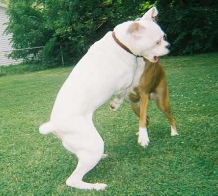 Time to play!