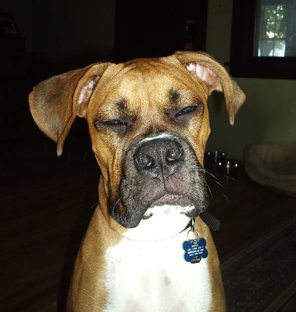 Time to wake up already?