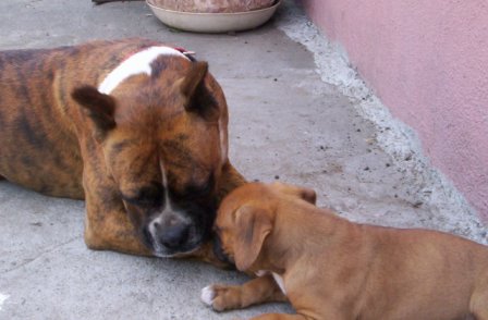 TINA TAKING CARE OF HIS NEW FRIEND TINO