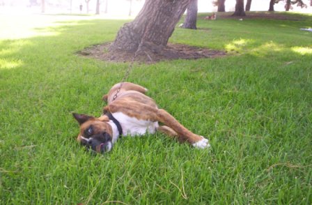 TINA TIRED..