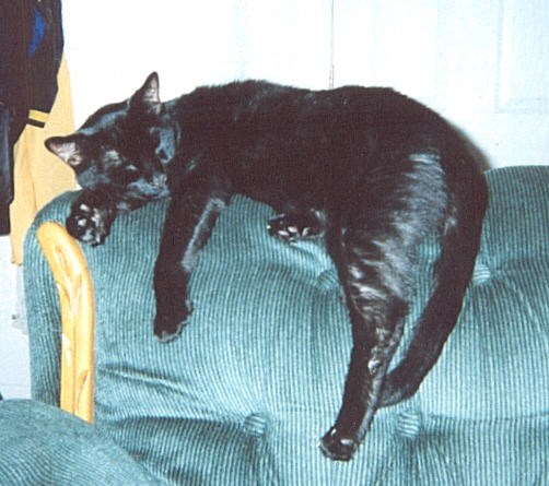 Tinker
