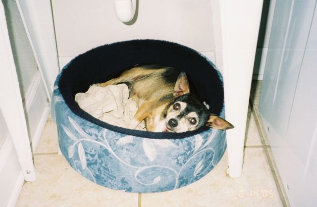 Tinker