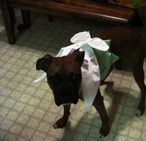 Tinkerbell