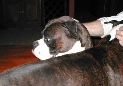 Tino again...