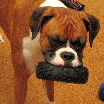 Tire Smile