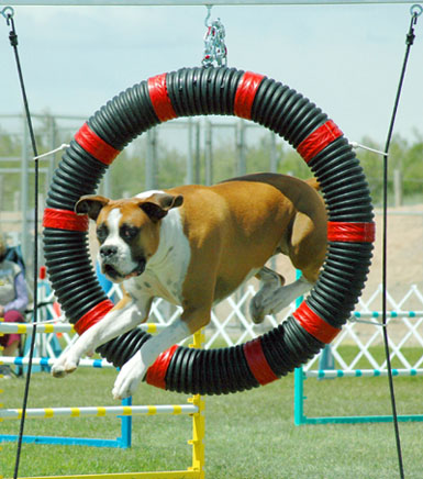 Tire