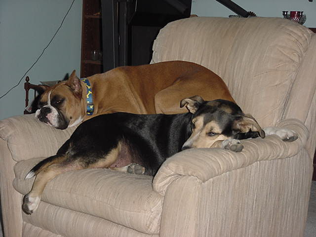 Tired after a hard day playing