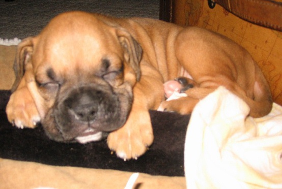 Tired at 5 weeks