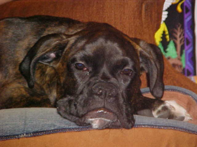 Tired Baby