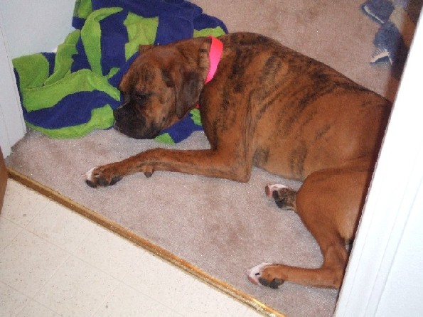 Tired Baby