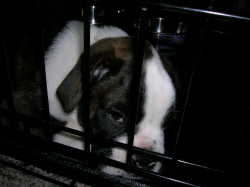 Tired baby