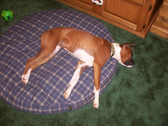 Tired Boy!!