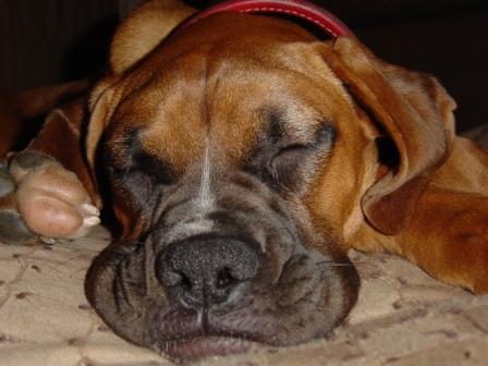 Tired girl