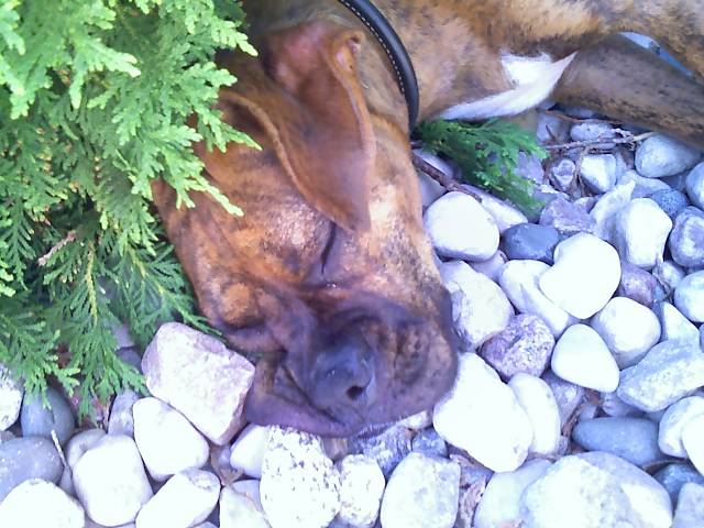 Tired girl!