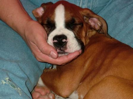 Tired little guy!