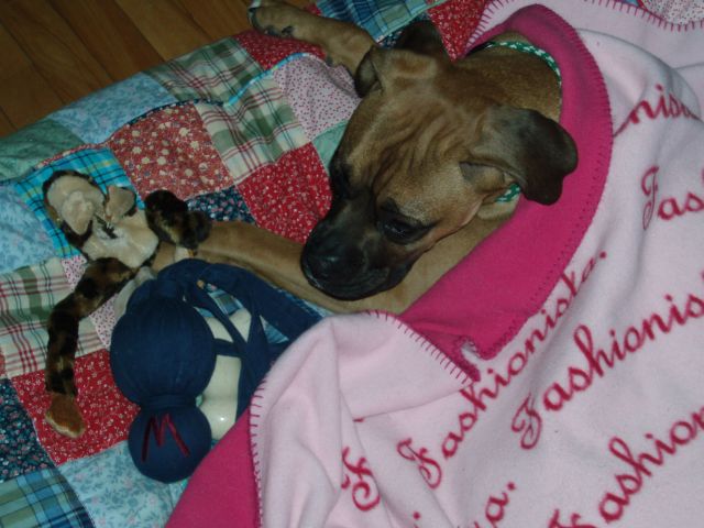 tired luna