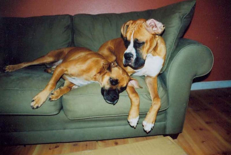 Tired of all the pics...need a friend to lean on