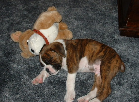 Tired out now!