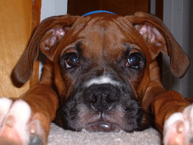 Tired Out