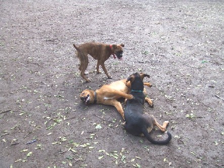 Tired Out!!!!