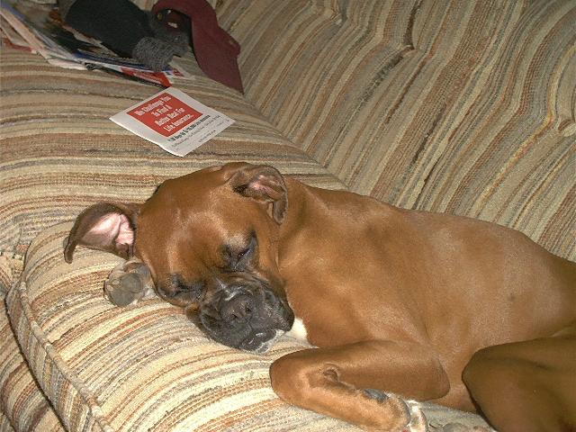 tired