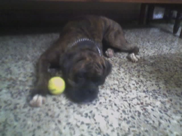 Tired