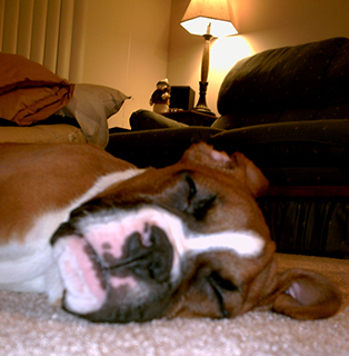 Tired